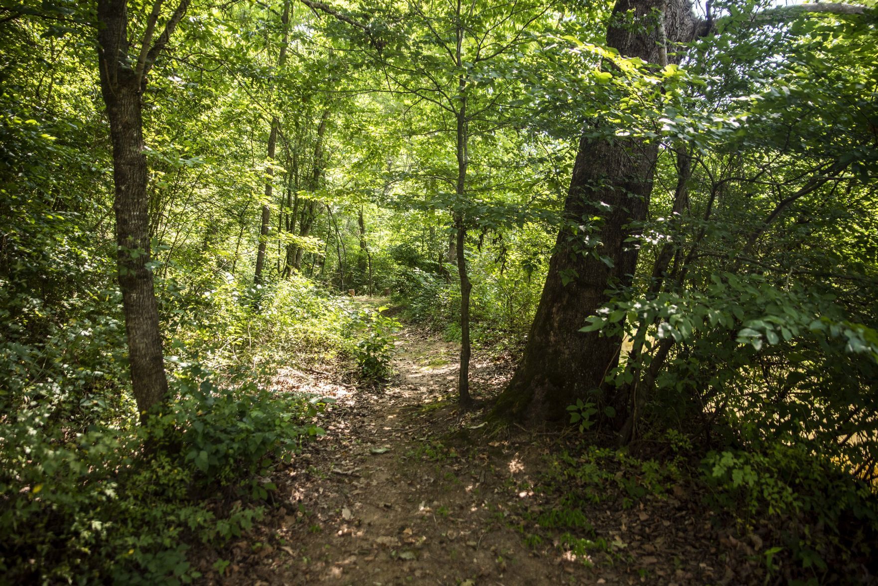 Welcome Home, Stonewall Mill